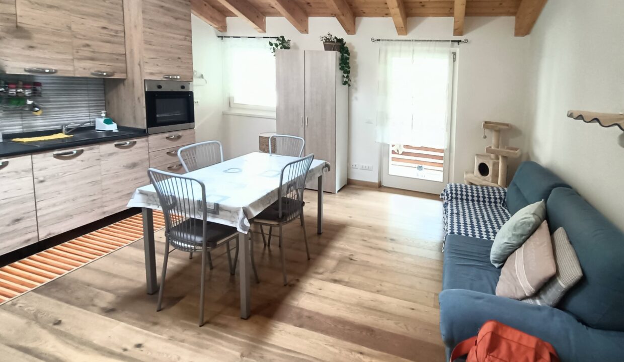 Open-house-V529-10
